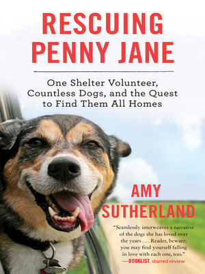 Rescuing Penny Jane - ebook